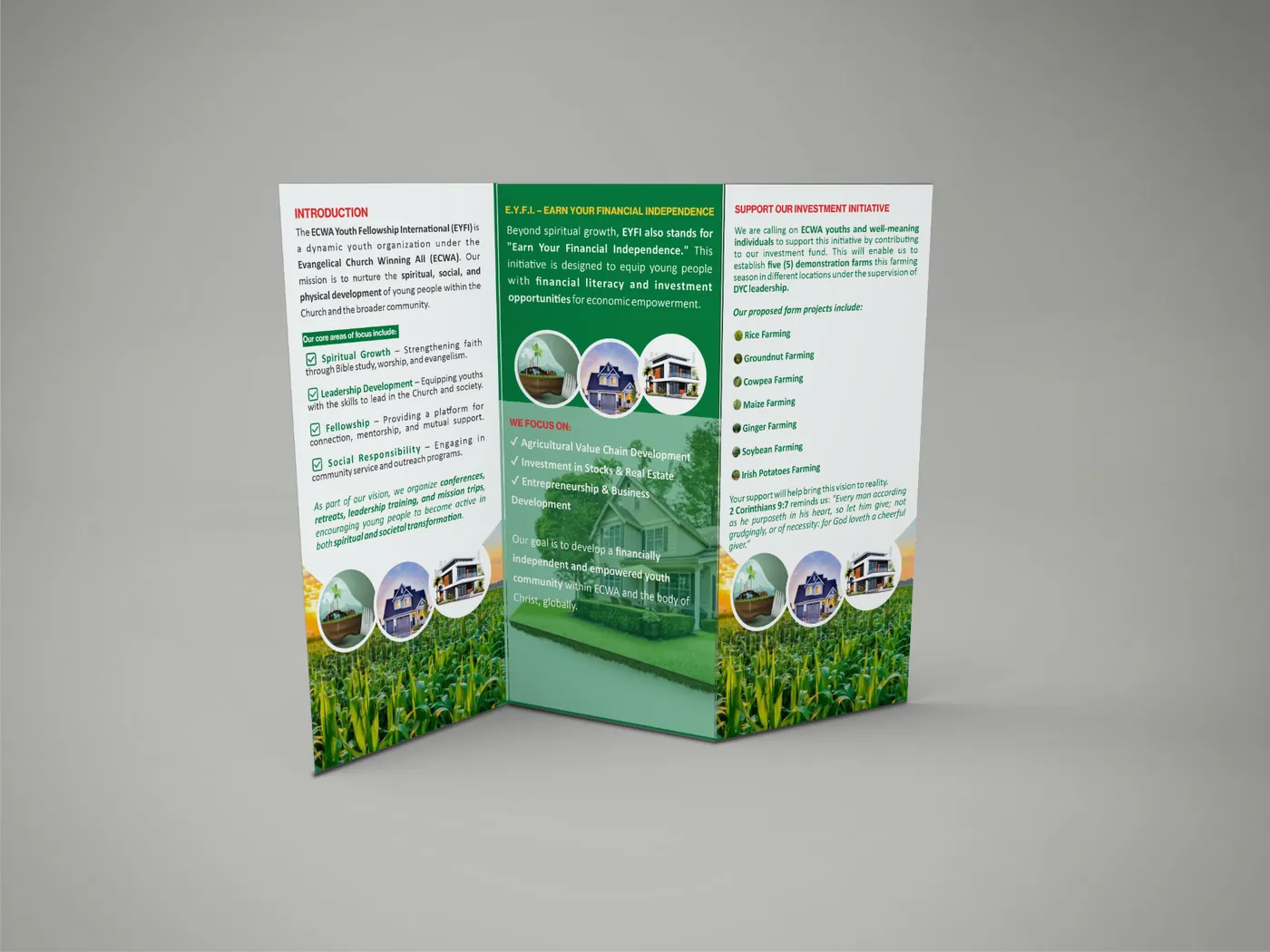 EYFI Tri-Fold Brochure